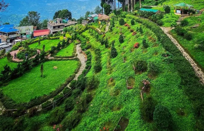 Darjeeling tour 4N 5Days