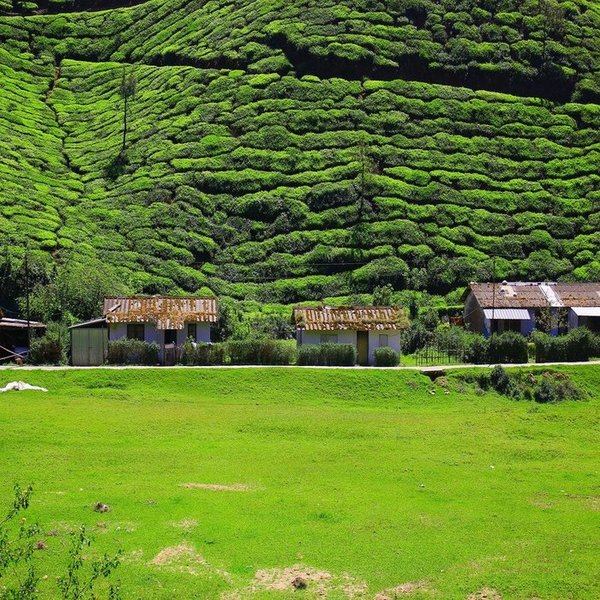 Romantic Munnar